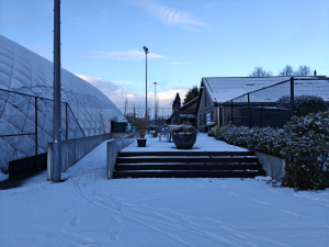 Lockhorst in winterslaap